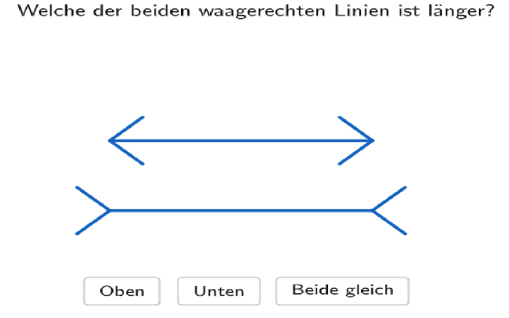 Bildvorschau