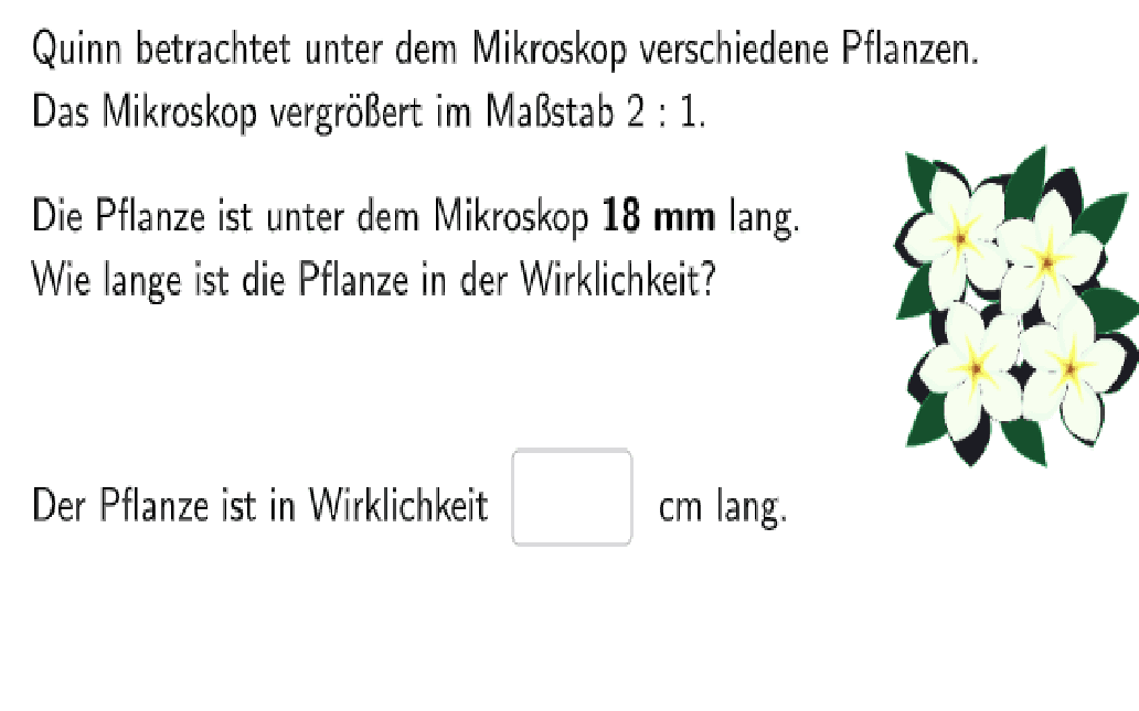 Bildvorschau