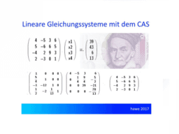 CAS 4 lineare Gleichungssysteme