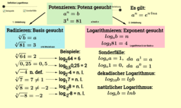 2. Jahrgang