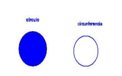 El circulo tiene área y la circunferencia es el perímetro del círculo
