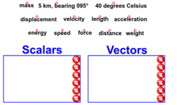 Vector Basics
