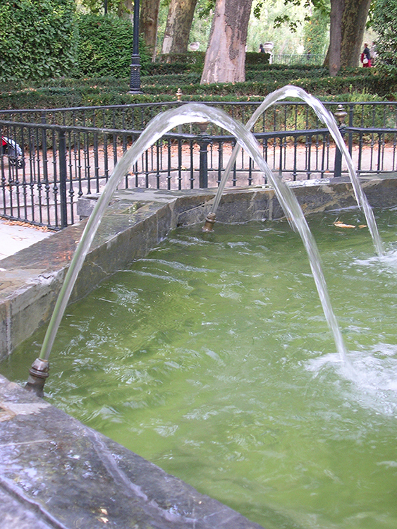 Wasserfontäne eines Brunnens