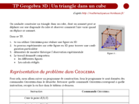 TP-3D-triangle.dans.cube.pdf