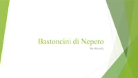 Bastoncini di Nepero.pdf