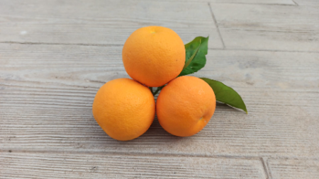 Naranjas para modelizar