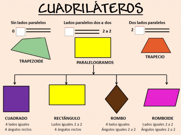 Clases de paralelogramos