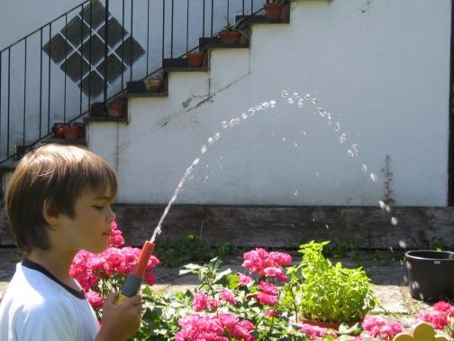 Wasser aus einem Gartenschlauch