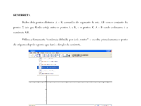 5SEMIRRETA.pdf