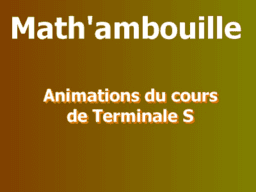 Mathambouille : Animations du cours de Terminale S