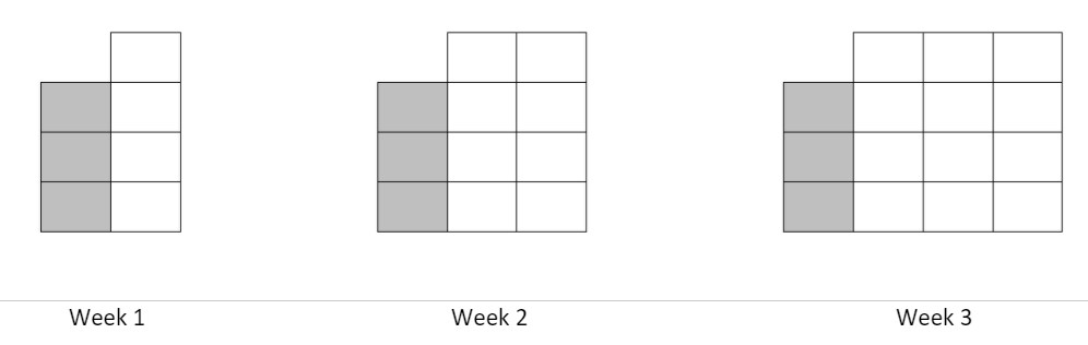 [b]Picture Pattern for the first 3 weeks...[/b]