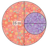 5. 꽃 박람회에 원 모양의 화단이 있습니다. 큰 원 모양 화단의 지름이 16m일 때, 작은 원 모양 화단의 반지름은 몇 m입니까?